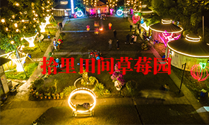 草莓水蜜桃APP有色视频風光